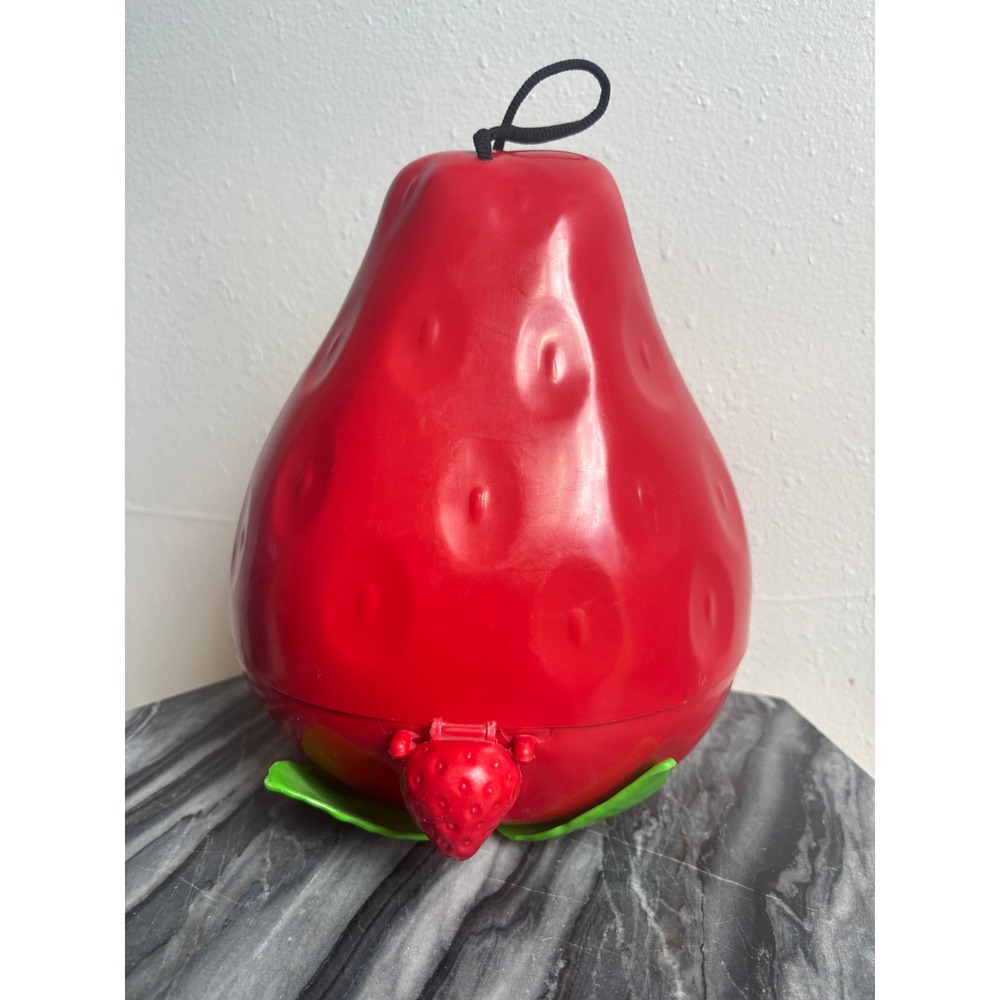 VTG 1980 Strawberry Shortcake Red Berry Carry Case American Greetings 765 001